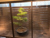 人工木デッキ施工例6